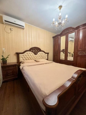 Cozy apartment Stefan cel Mare